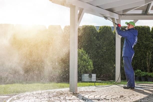 Best Sidewalk and Walkway Cleaning  in Benjamin, UT